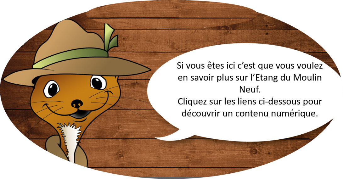 Annonce QR Code