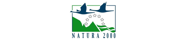 N2000
