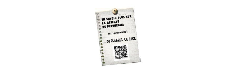 QR code une enquête à l'étang