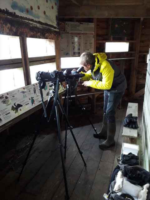 photo observatoire