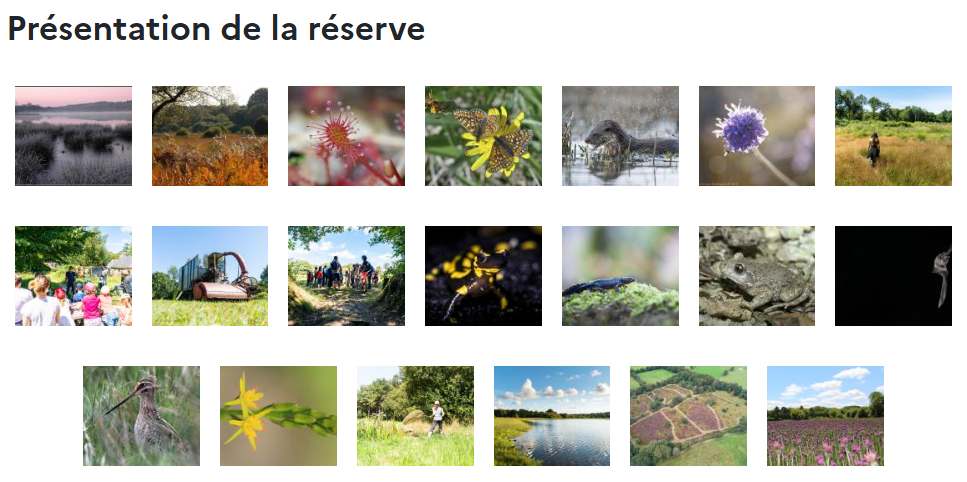 la réserve en image