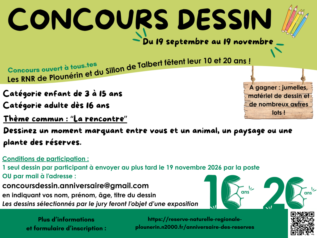 Affiche Concours Dessin